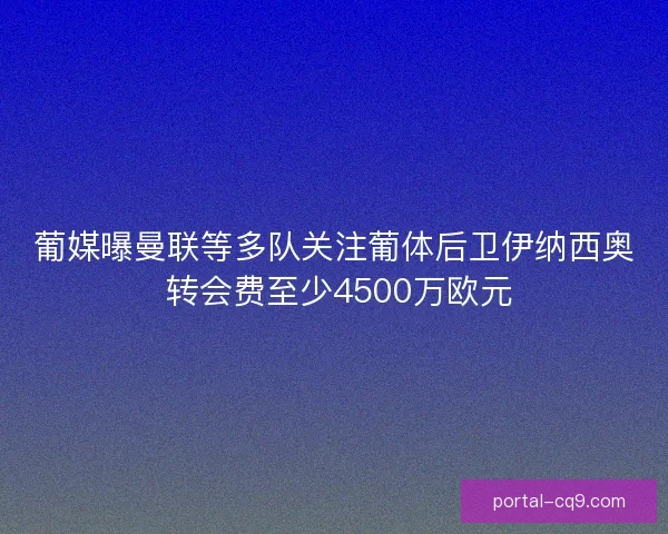 葡媒曝曼联等多队关注葡体后卫伊纳西奥 转会费至少4500万欧元